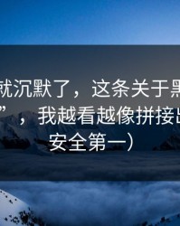 我当场就沉默了，这条关于黑料網的“爆料”，我越看越像拼接出来的（安全第一）
