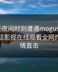 神秘人在夜间时刻遭遇mogushipin 脸红，蘑菇影视在线观看全网炸锅，详情直击