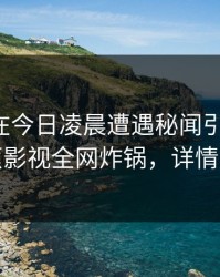 圈内人在今日凌晨遭遇秘闻引发众怒，香蕉影视全网炸锅，详情点击