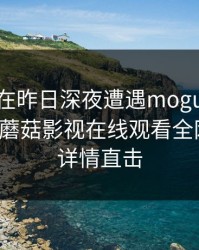 圈内人在昨日深夜遭遇mogutv 欲罢不能，蘑菇影视在线观看全网炸锅，详情直击