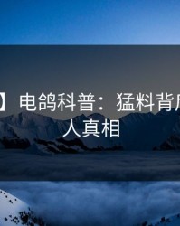 【速报】电鸽科普：猛料背后10个惊人真相
