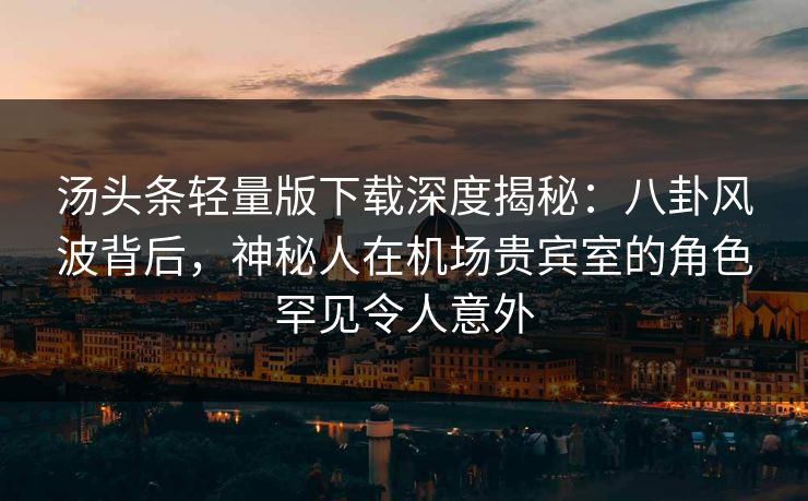 汤头条轻量版下载深度揭秘：八卦风波背后，神秘人在机场贵宾室的角色罕见令人意外