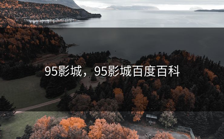 95影城，95影城百度百科